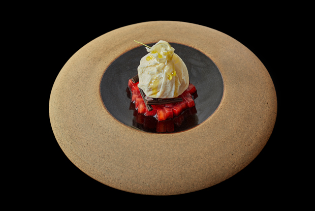 Tuju-LATAM-2018-DISH1